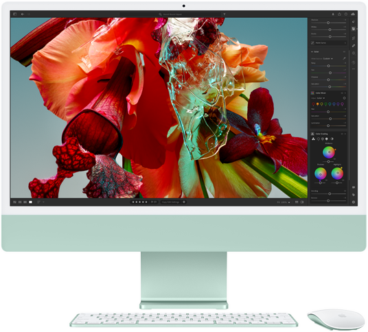Ein iMac Display mit dem Bild einer farbigen Blume in Lightroom, um den Farbbereich und die Auflösung des 4.5K Retina Displays zu zeigen.